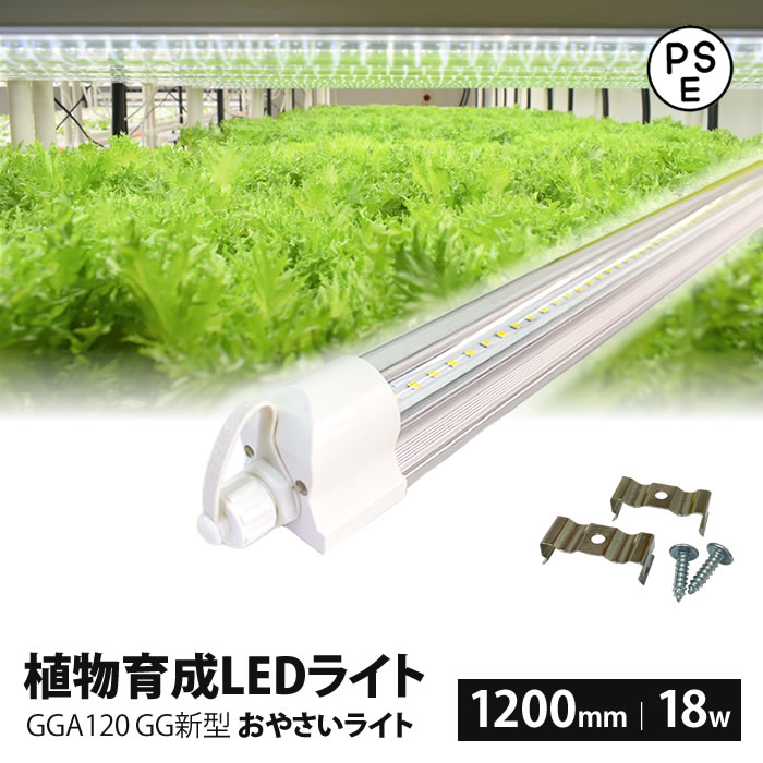 GG 新型おやさい ライト GGA120 製品画像