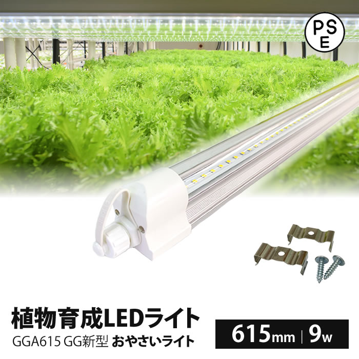 GG 新型おやさい ライト GGA615 製品画像