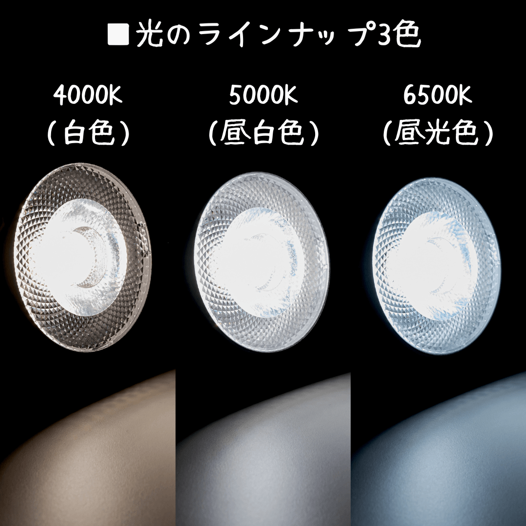CERAPHIC いきもの電球 色温度比較