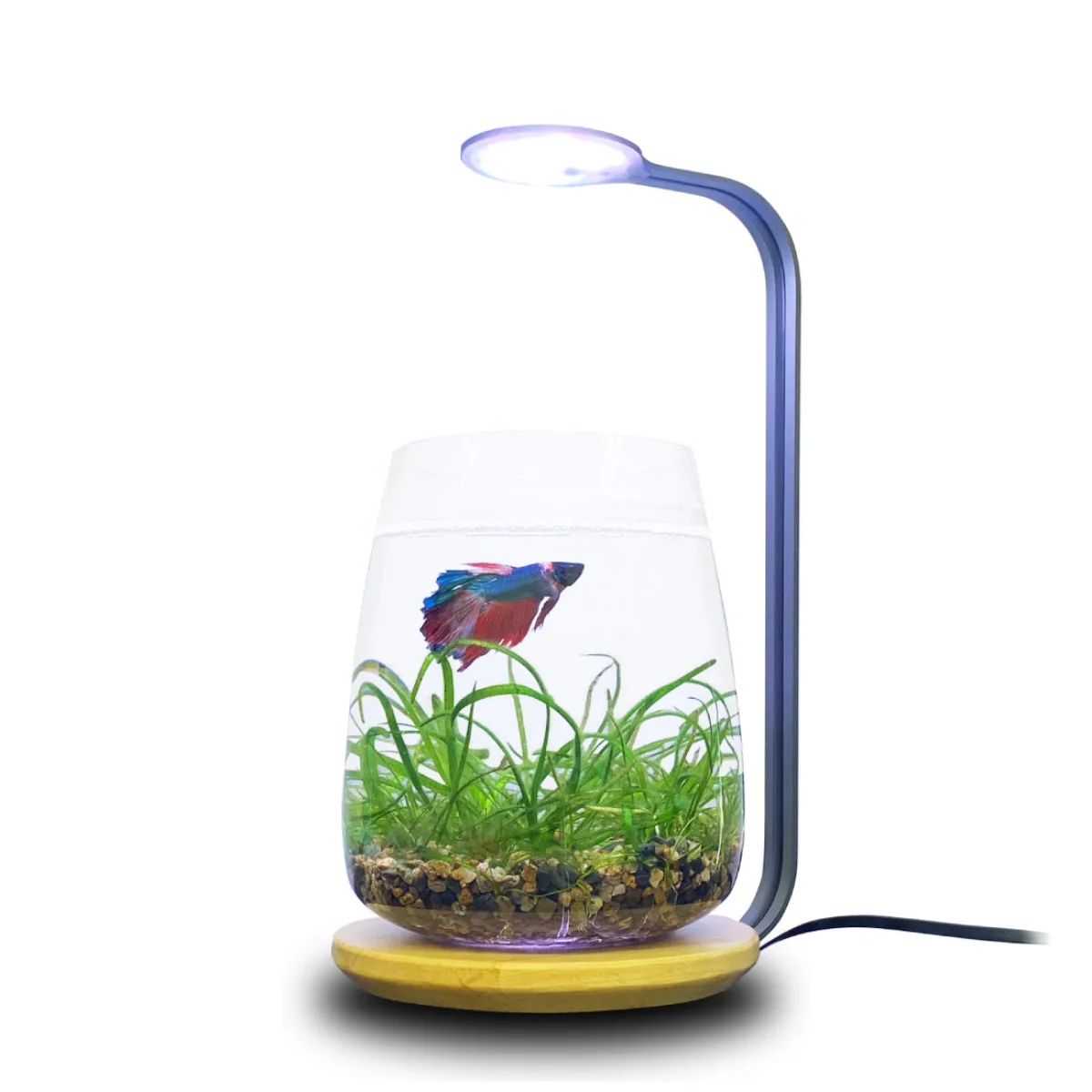 LEDSTAR デスクトップ型水槽ライト DOT 製品画像
