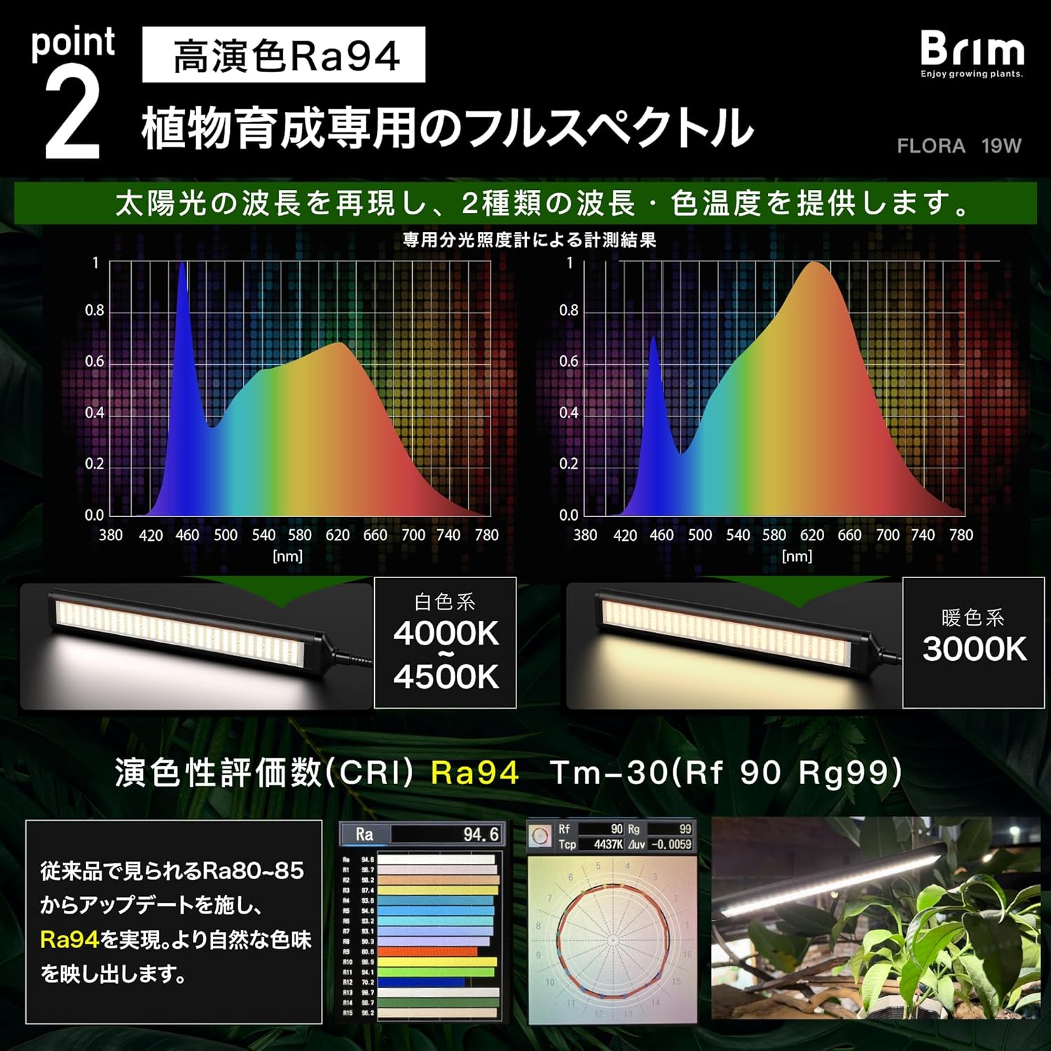 BRIM FLORA 4000K-4500K / 3000K スペクトル曲線