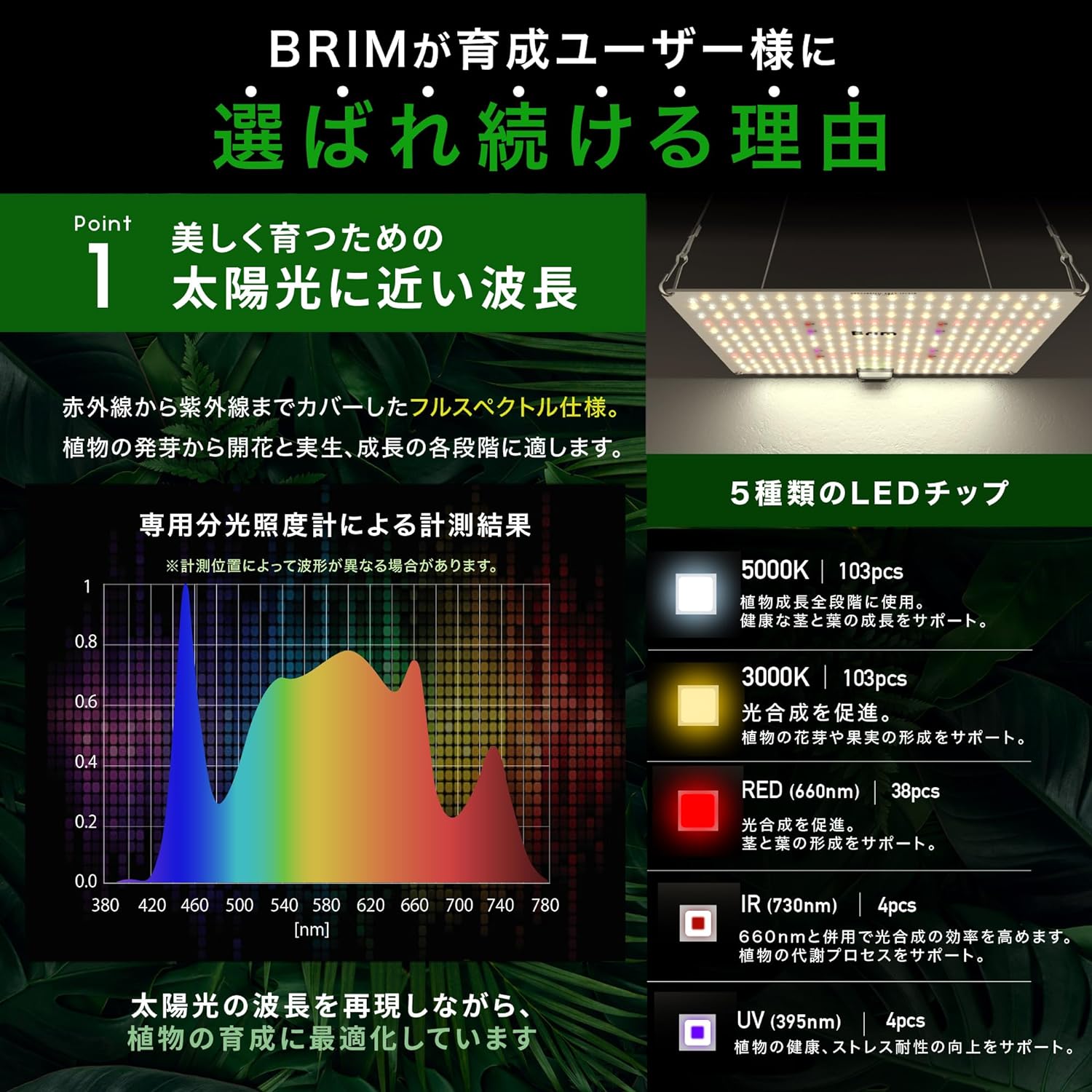 BRIM PANEL A 45W スペクトルグラフ