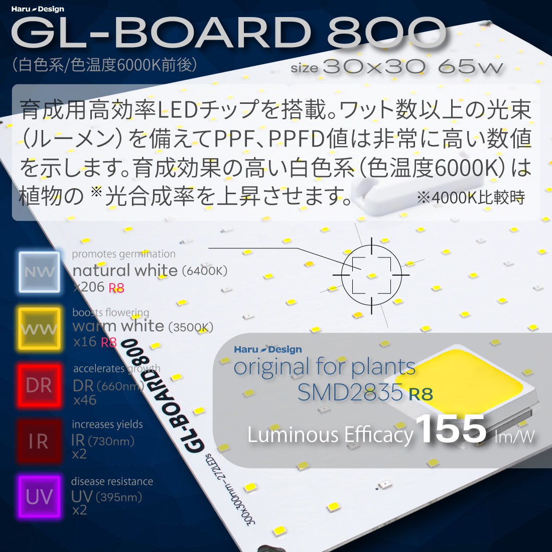 HaruDesign GL-BOARD800 LED構成画像