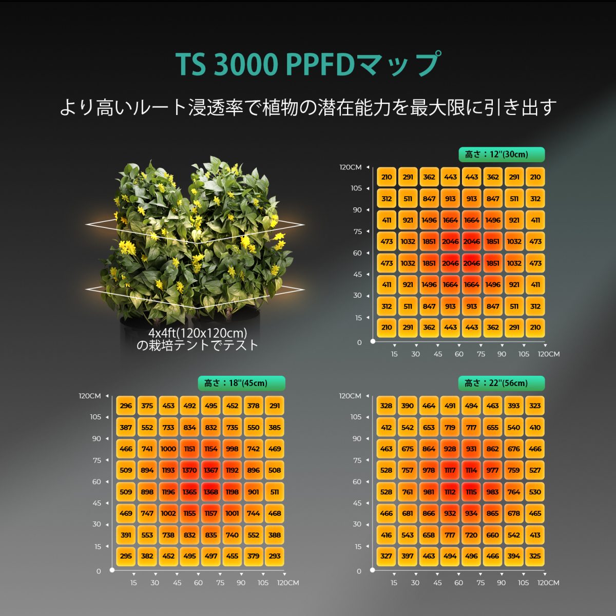 TS3000 LED 成長ライト PPFD