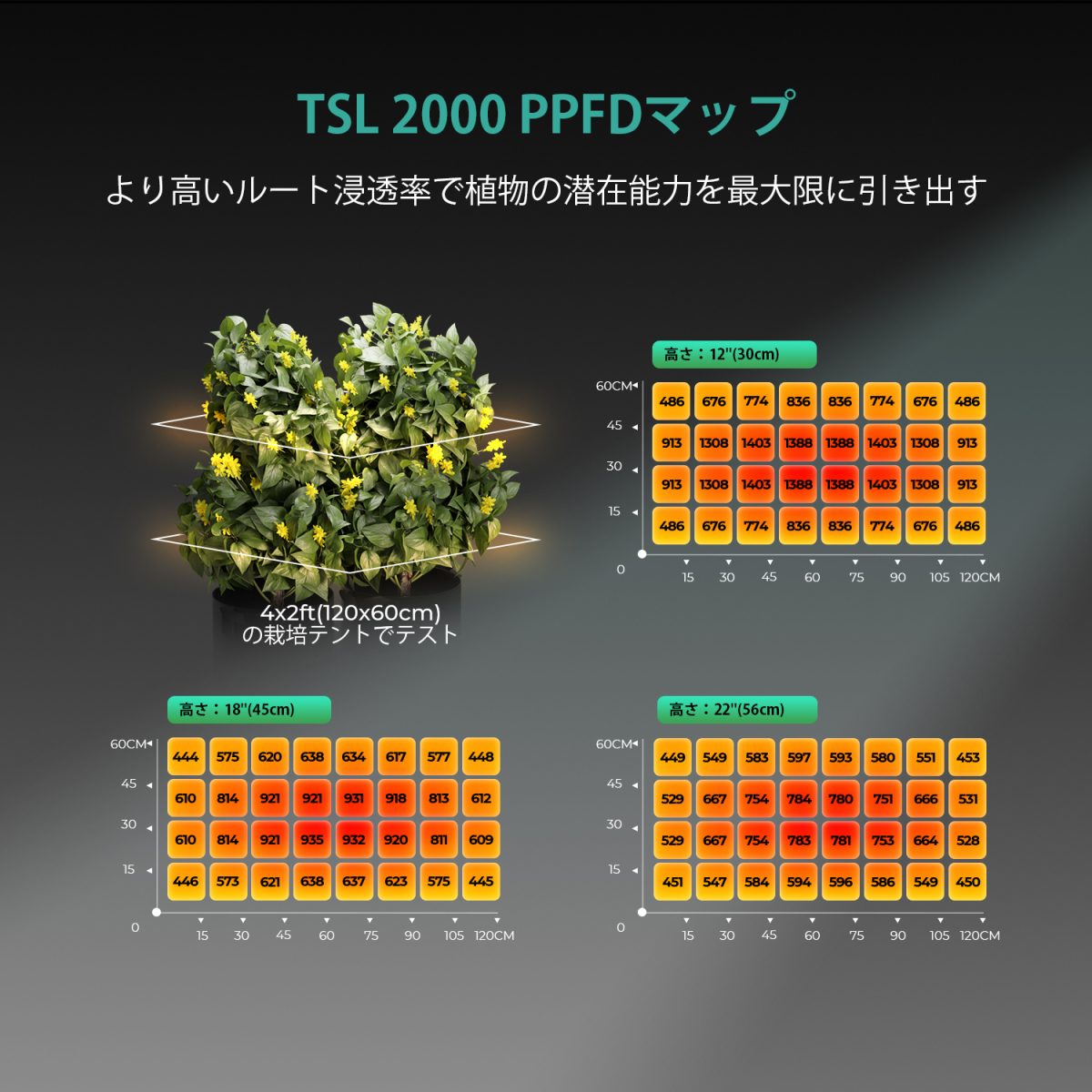 TSL2000 LED 成長ライト PPFD