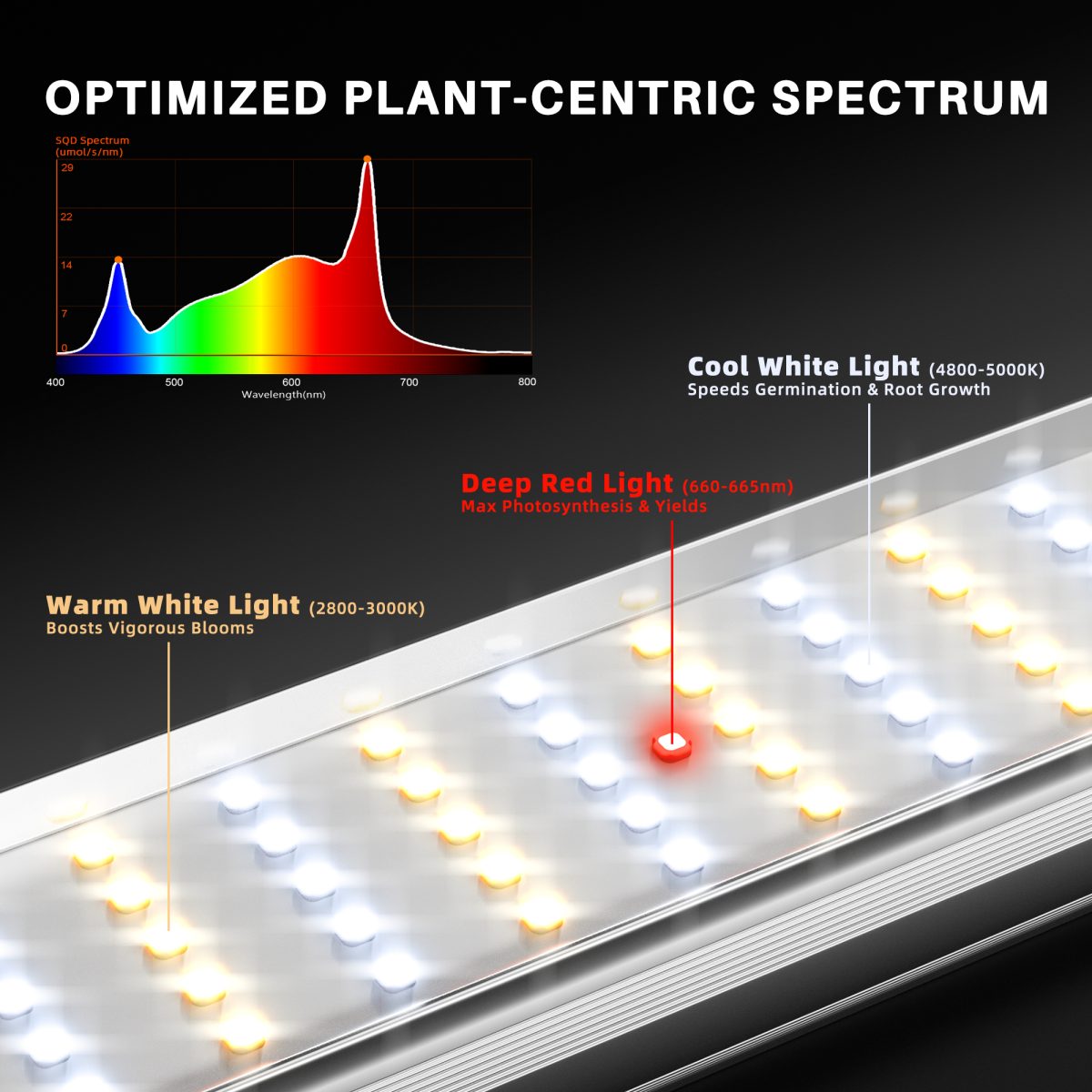 SE1000W-Spectrum